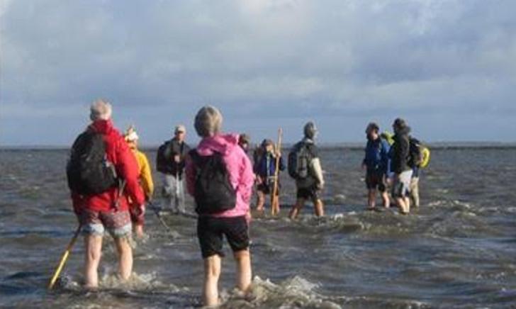 WAD Bierwandeltocht Amelander bier WAD Bierwandeltocht Amelander bier